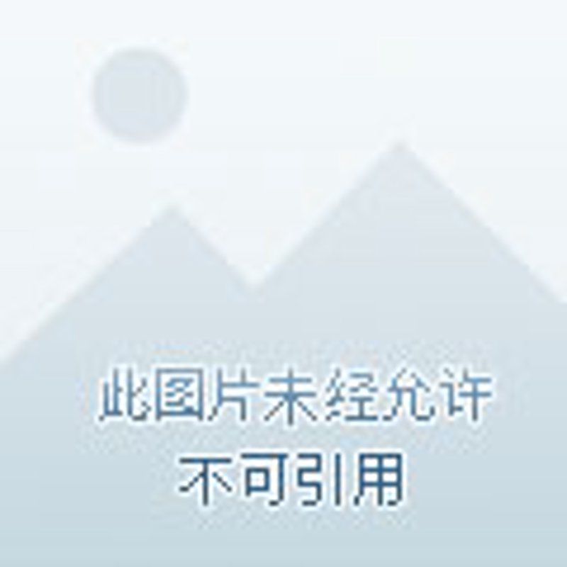 羽毛球运动的活力之源——羽毛球教练